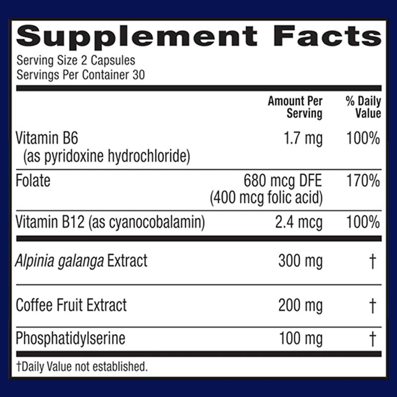 Brain Supplement Supplier - Mental Fatigue Memory Retention