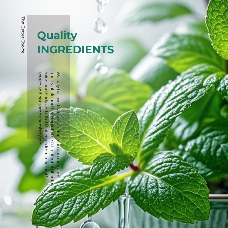 Egg Shell Powder Manufacturer - OEM Oral Care Gum Ingredients