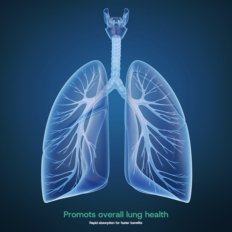 Lung Support Drops Factory - Natural Mullein Leaf Vegan