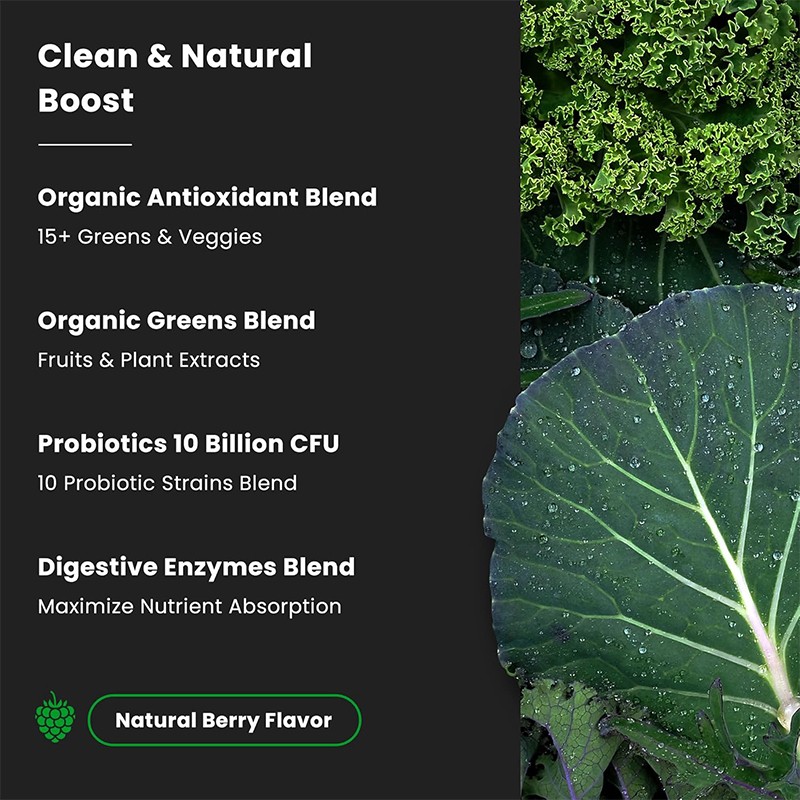 Prebiotic Enzyme Drink Supplier - White Kidney Bean Extract