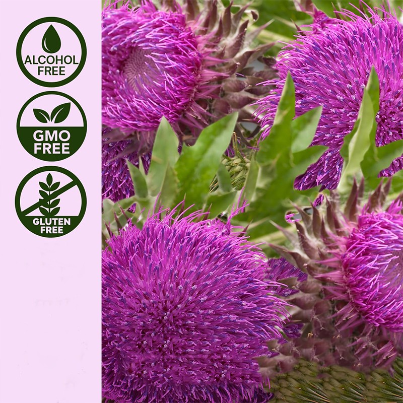 Organic Zinc Drops Manufacturer - Himalayan Seaweed Magnesium