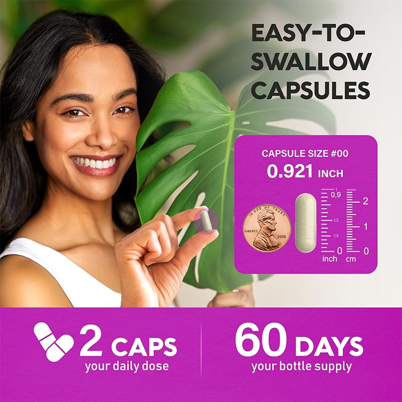 GABA Capsules Factory - L-Theanine Dietary Supplement