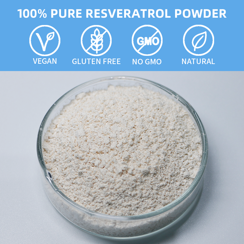 High Quality Hot Sale Polygonum Cuspidatum Extract 99% Trans Resveratrol Powder Resveratrol