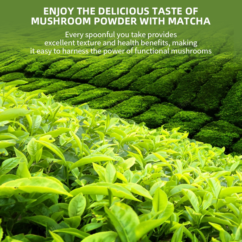 Wholesale Mushroom Matcha OEM Private Label Ceremonial Matcha Mushrooms Vegan Mushroom Matcha Powder