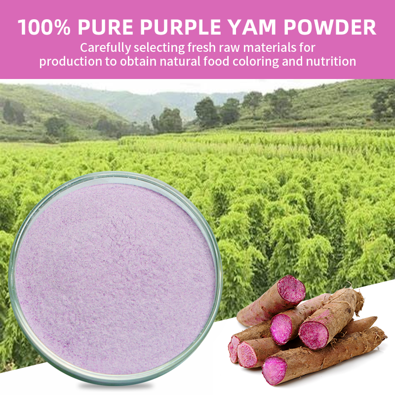 Manufacturer Bulk Price Natural Purple Yam Ube Powder High Quality Organic UBE Purple Yam Powder