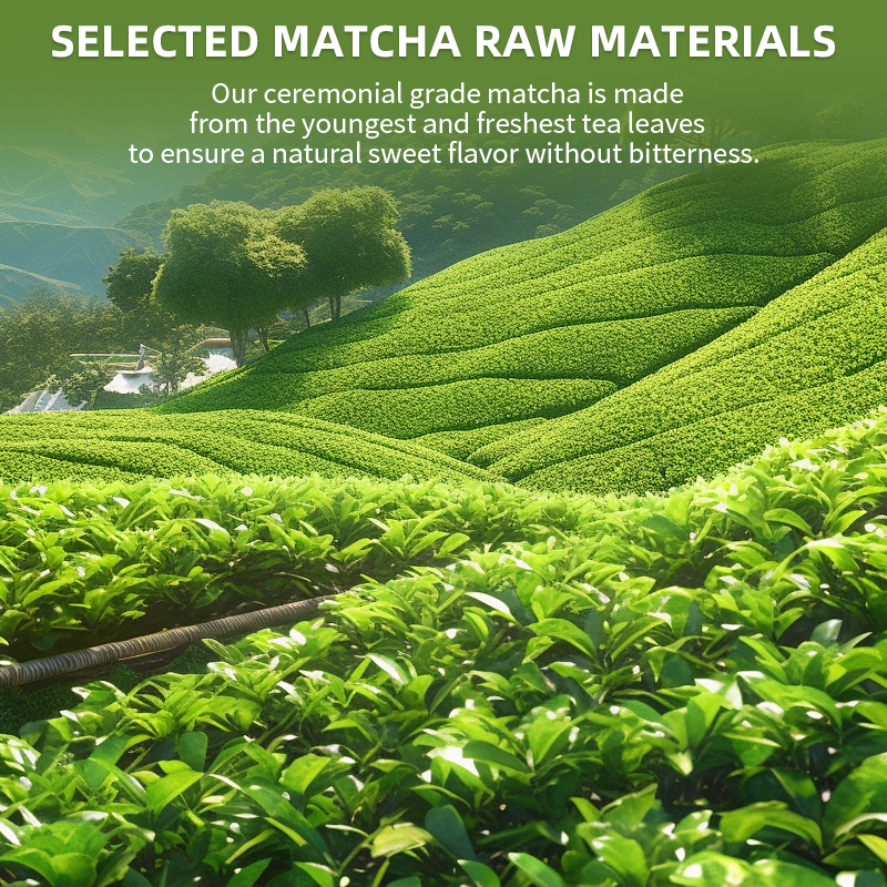 Factory Wholesale Pure Organic  Ceremonial Premium Green Tea Matcha Powder Matcha Tea Powder for Tea Drinks