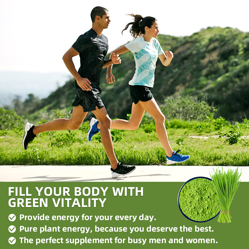 Bulk Superfood Wheat Grass Powder Food Grade Nutritional Supplement WheatGrass Powder Super Greens Wheat Grass Juice Powder