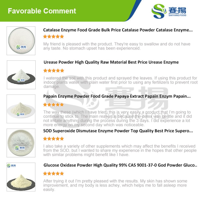 Chymosin Powder Top Quality Food Additive CAS 9001-98-3 Rennet Casein Powder Rennet Powder