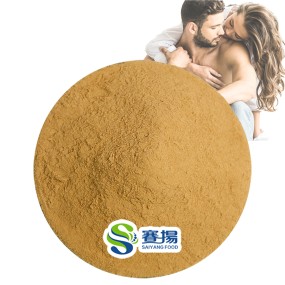 Tongkat Ali Extract Powder 1% 2% 3% 5% 8% 10% Eurycoma Longifolia Extract Price 200:1 Tongkat Ali Root Extract