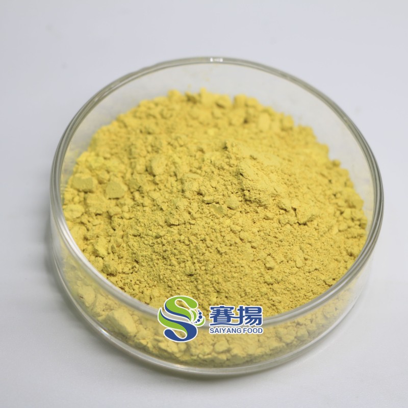 Onion Extract Powder Wholesale Price Pure Natural 10%-30% Quercetin Powder