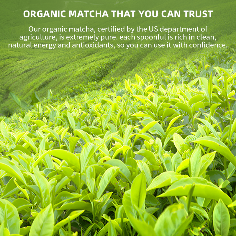 High Quality Wholesale 30gram Ceremonial Grade Matcha Powder Bulk Box Instant Tea for Slimming Free Sample Matcha Bag