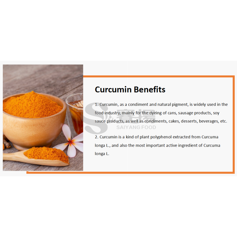 Curcumin Price Bulk Natural Supplement Turmeric Root Extract 5% 10% Curcumin CAS 458-37-7 Turmeric Extract Curcumin Powder