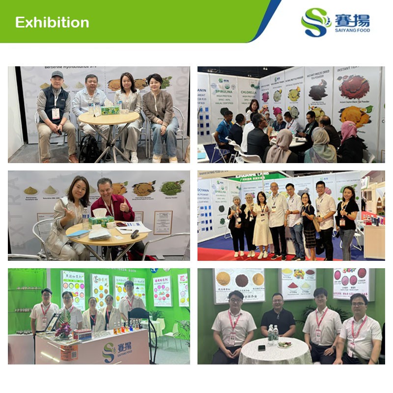 Free Sample Premium Organic Food Grade Soluble Alfalfa Extract Powder Natural Health  Green Alfalfa Powder