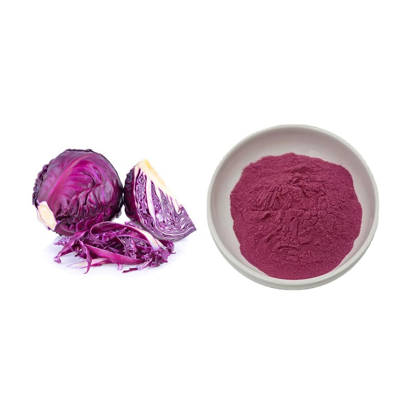 Wholesale Food Grade Cabbage Extract Natural Red Pigment Purple Cabbage Powder E50 Red Cabbage