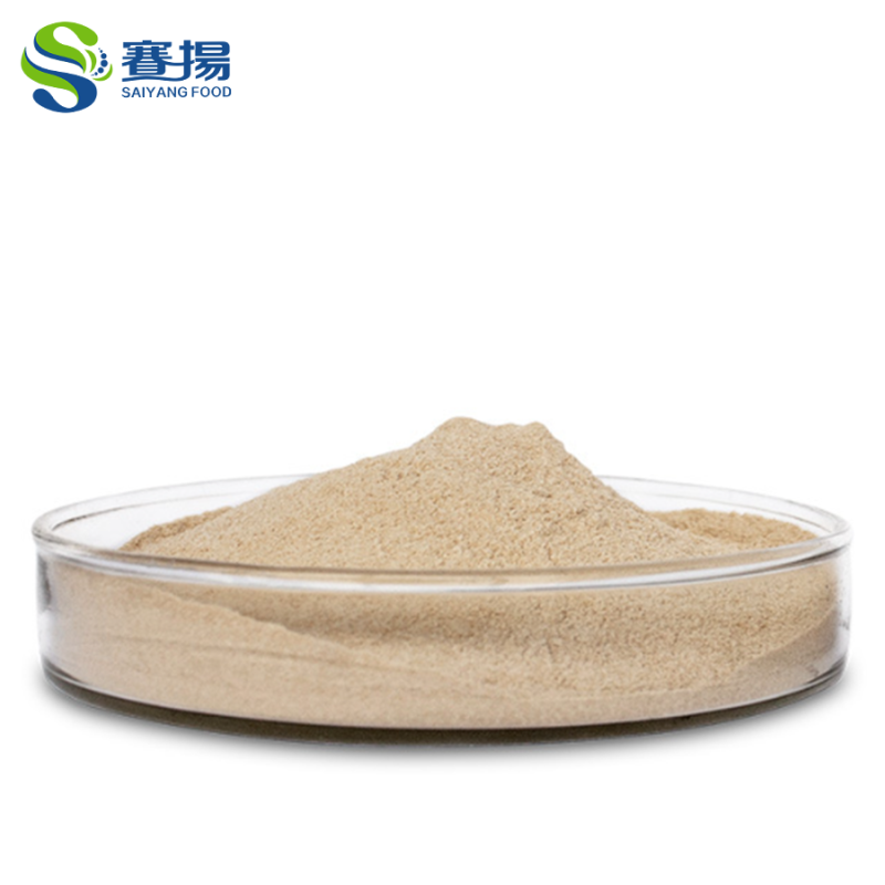 Alkaline Protease Enzymes for Detergents Industrial Grade Alkaline Protease Powder