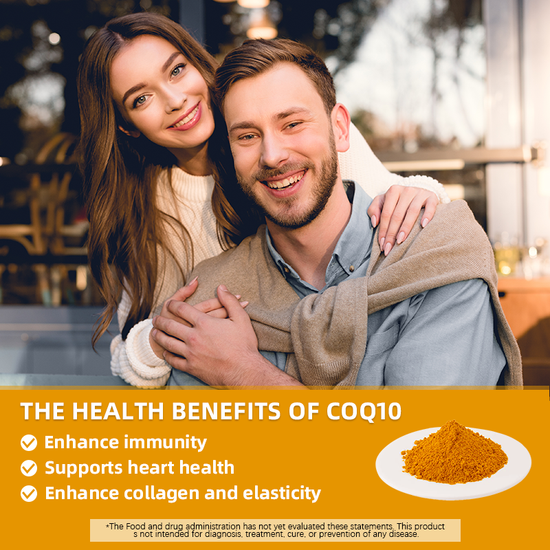 Coenzyme Q10 99 Powder Ubidecarenone CAS 3a03-98-0 Coq10 Bulk 98% Fat Soluble Powder 10% 20% Water Soluble Q10 Coenzyme