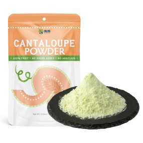 Hami Melon Juice Powder Food Grade Hight Quality Cantaloupe Powder