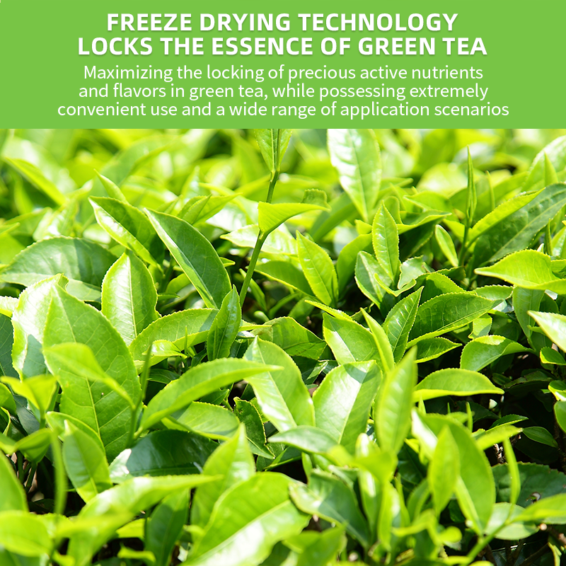 ISO Factory Supply Pure Matcha Green Tea Powder Organic Bulk Packaged Ceremonial Grade Matcha Powder