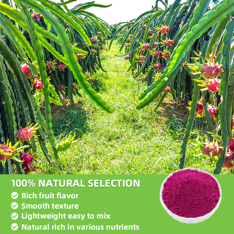 Private Label Food Grade Natural Pink Pitaya Red Organic Freeze Dried Dragon Fruit Powder
