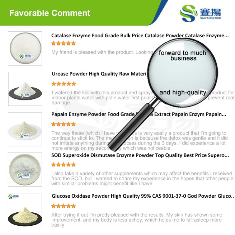 Alkaline Protease Enzymes for Detergents Industrial Grade Alkaline Protease Powder