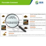 INSTANT SEASONING POWDER