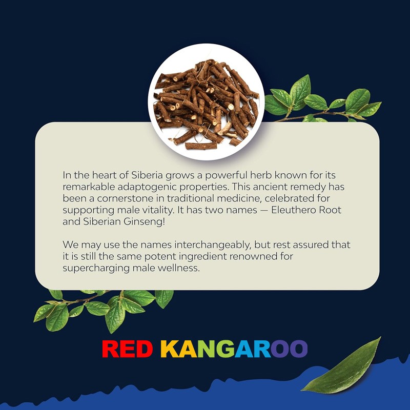 Men's Enhancement Capsules Manufacturer - Ashwagandha Maca Root