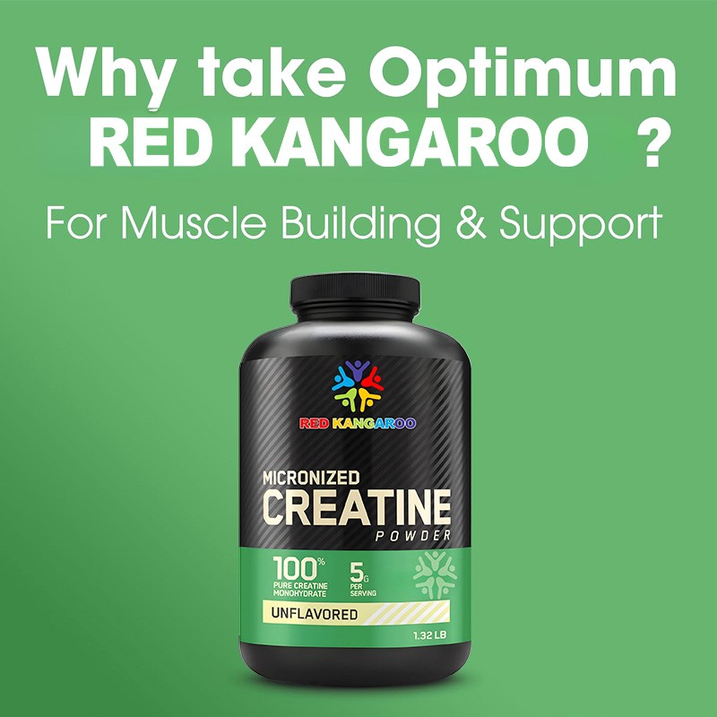 Creatine Powder Supplier - Monohydrate Muscle Building Energy