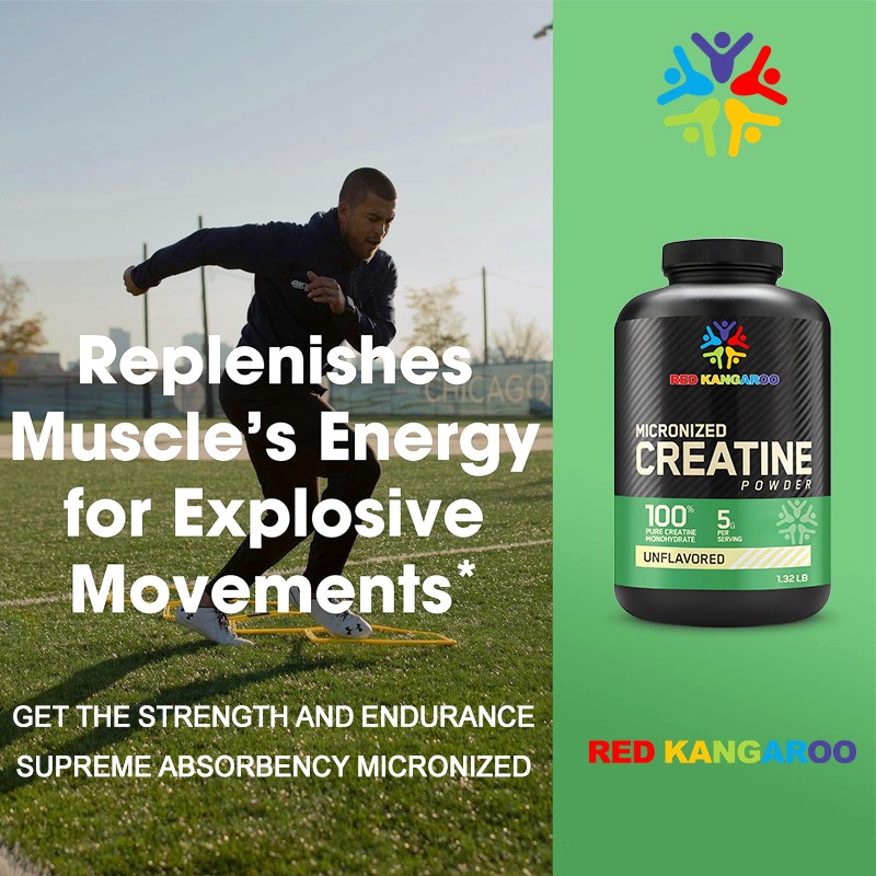 Creatine Powder Supplier - Monohydrate Muscle Building Energy