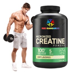 Creatine Powder Supplier - Monohydrate Muscle Building Energy