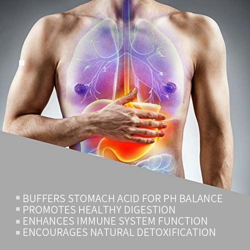 Aloe Vera Capsules Factory - OEM Digestive Immune Herbal Supplement