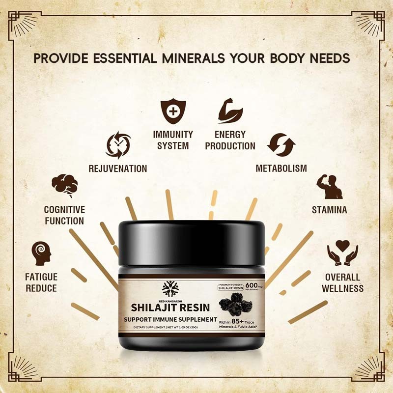 Shilajit Resin Manufacturer - Himalayan Organic Energy Immune