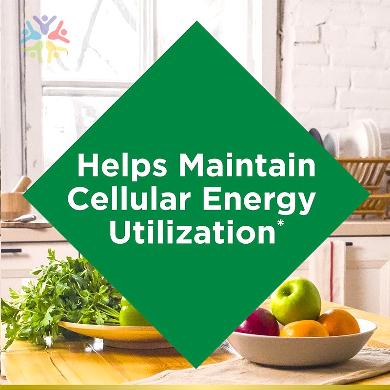 Iron Tablets Supplier - Promotes Red Blood Cell Production