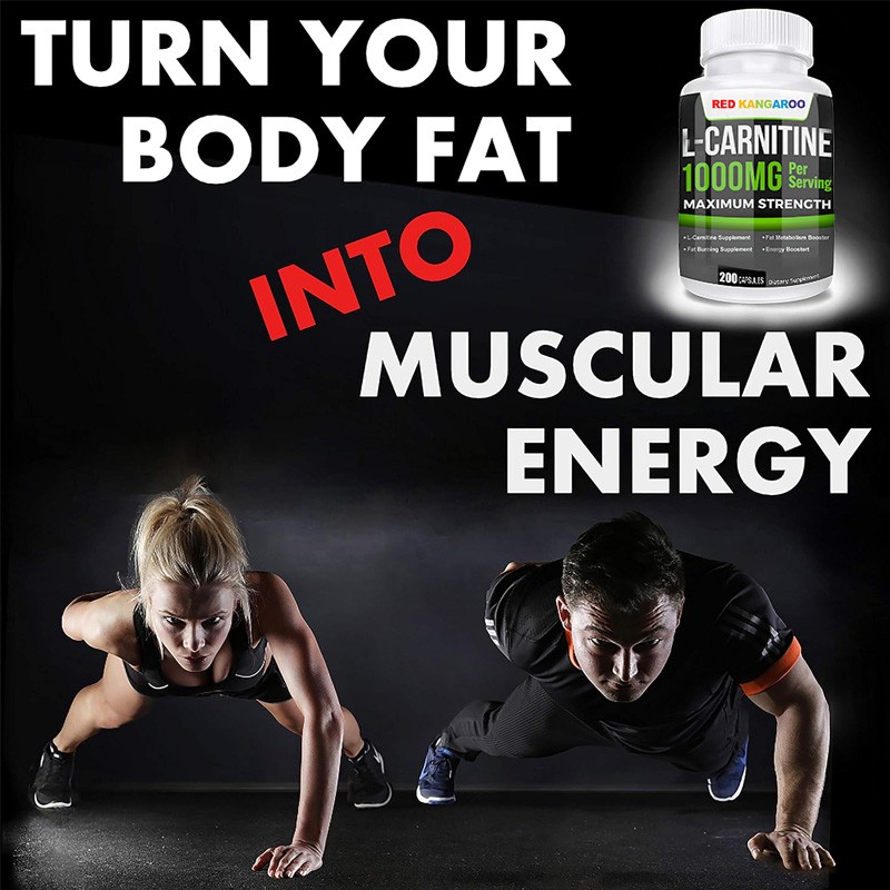 L-Carnitine Capsules Factory - Fat Metabolism Energy Booster