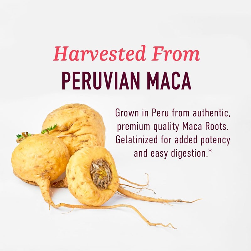 Maca Capsules Supplier - High Quality 1500mg Black Maca