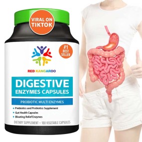 Digestive Enzymes Capsules Factory - Prebiotics Probiotics Gut