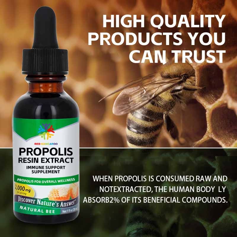 Propolis Resin Manufacturer - Bee Product Immune Support