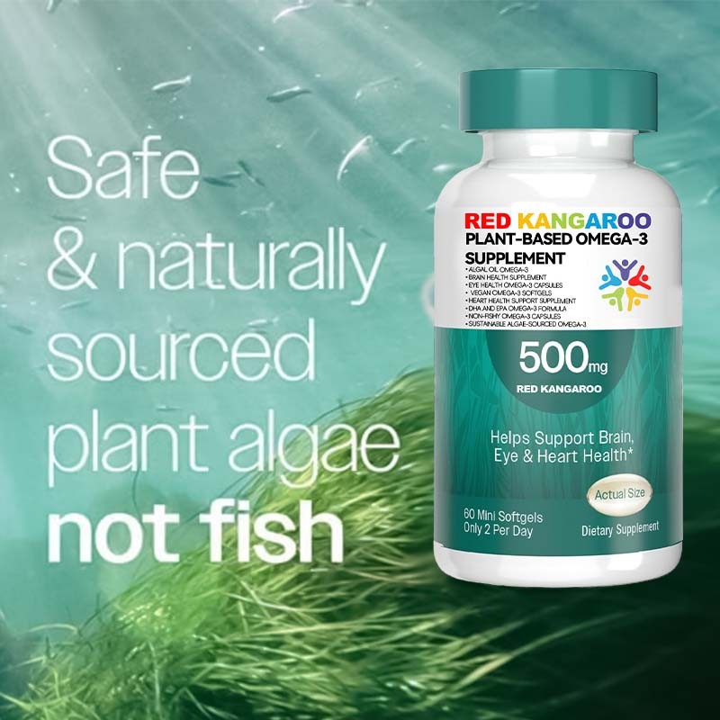Omega 3 Softgels Supplier - Algal Oil Brain Eye Heart Support