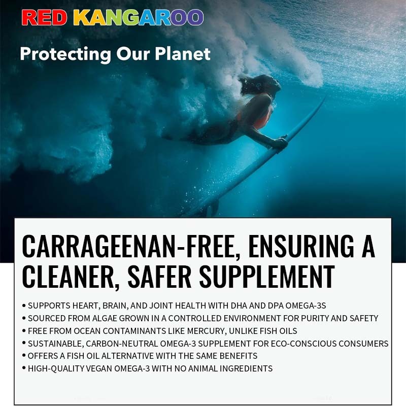 Omega 3 Soft Capsules Factory - Algal DHA EPA Heart Brain