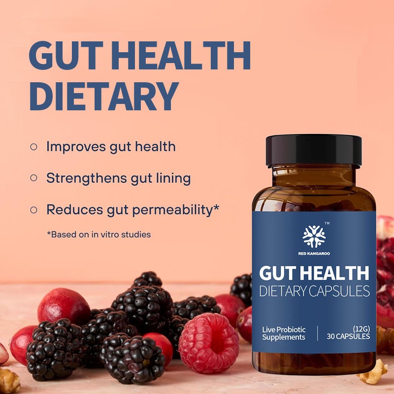 Gut Health Capsules Factory - Protect Strengthen Gut Lining