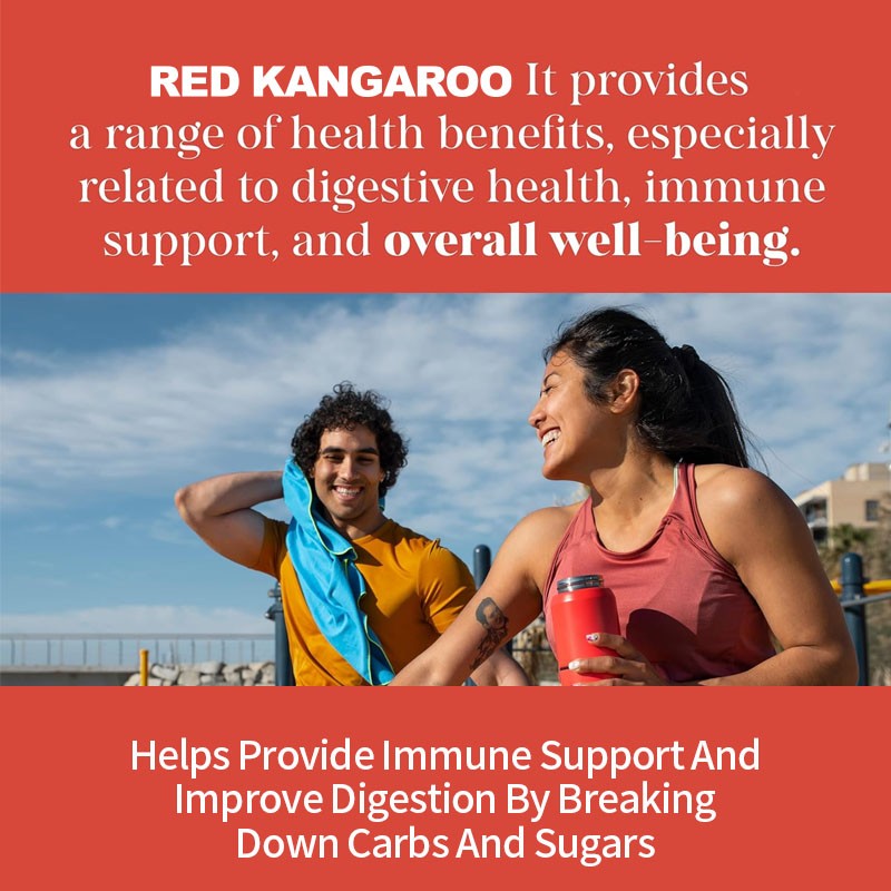 Probiotics Capsules Manufacturer - Best Seller Gut Health