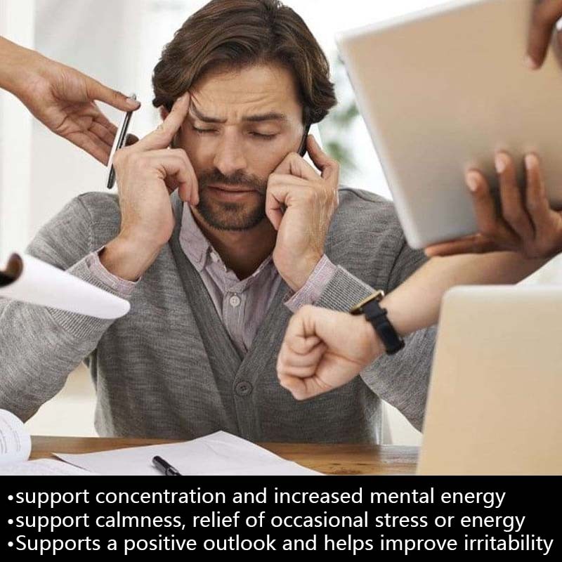 Energy Mints Factory - Instant Alertness Focus Supplement