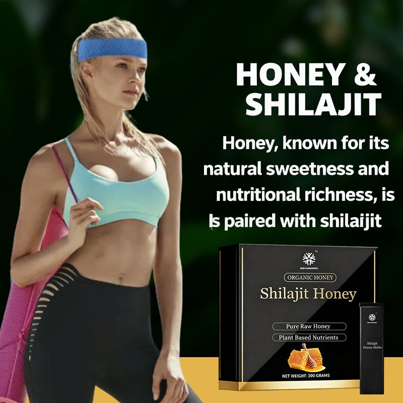 Shilajit Honey Sticks Manufacturer - Himalayan Energy Metabolism