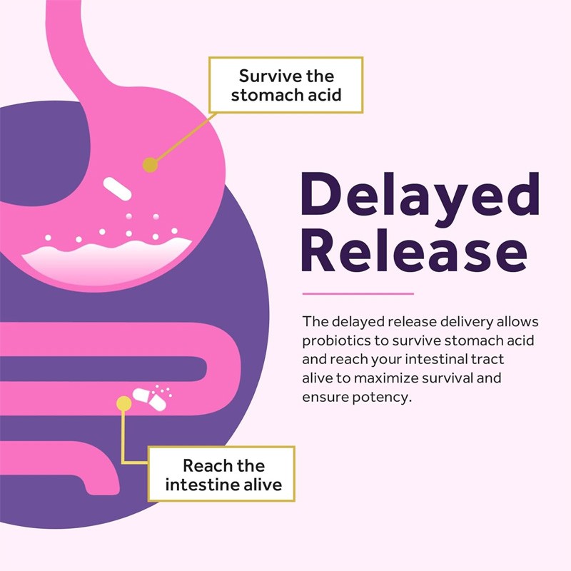 Women's Probiotics Manufacturer - Vaginal Health Adult Pregnant