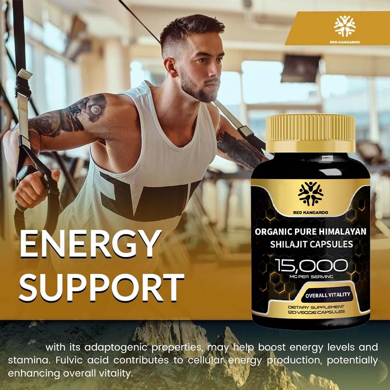Shilajit Capsules Supplier - Pure Himalayan Organic Immune