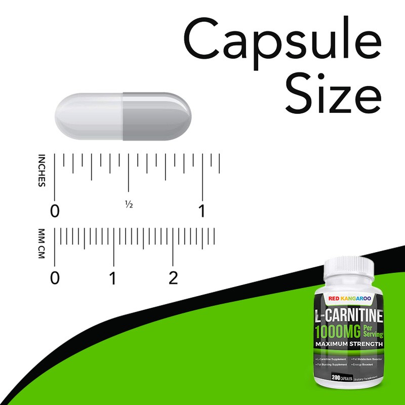L-Carnitine Capsules Factory - Fat Metabolism Energy Booster