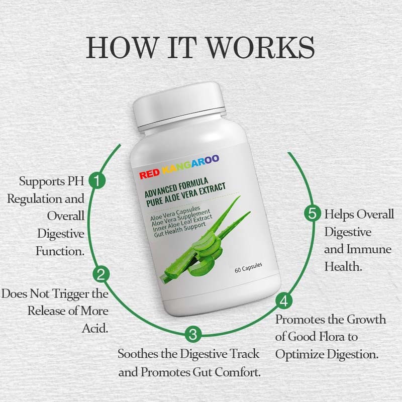 Aloe Vera Capsules Factory - OEM Digestive Immune Herbal Supplement