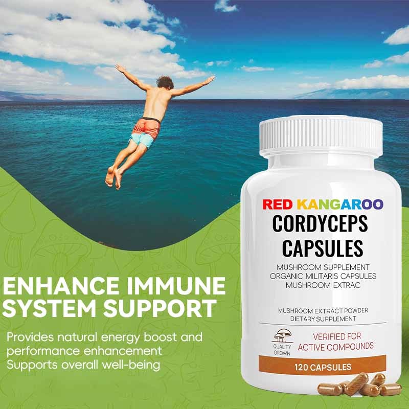Cordyceps Capsules Supplier - OEM Mushroom Extract Energy Immune