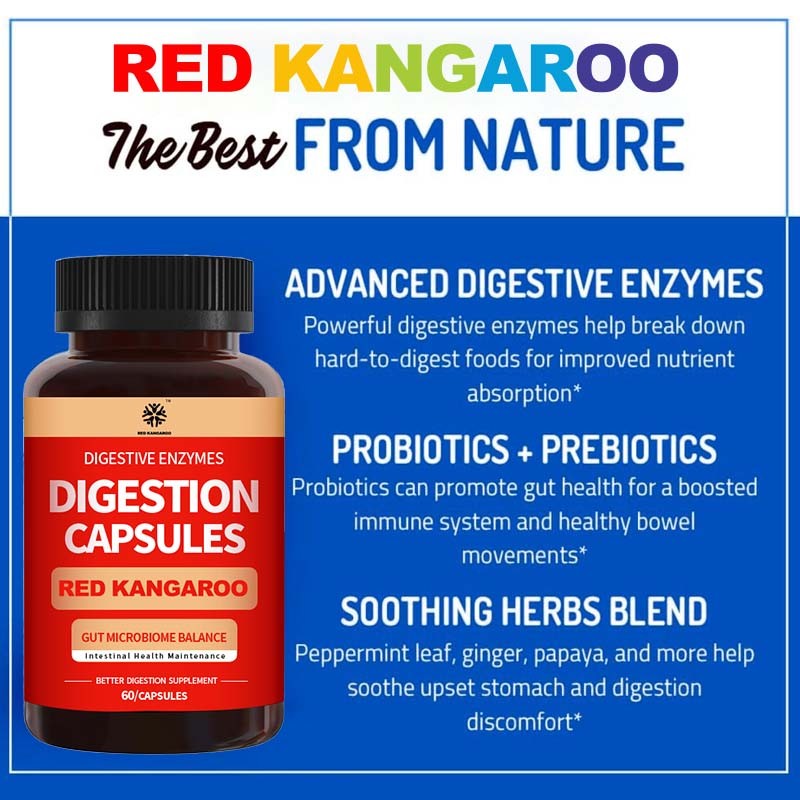 Digestive Enzymes Capsules Manufacturer - OEM Gut Microbiome