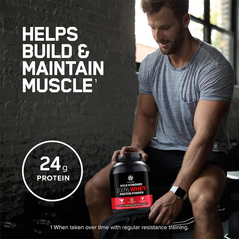 Whey Protein Powder Supplier - Sports Nutrition Energy Support