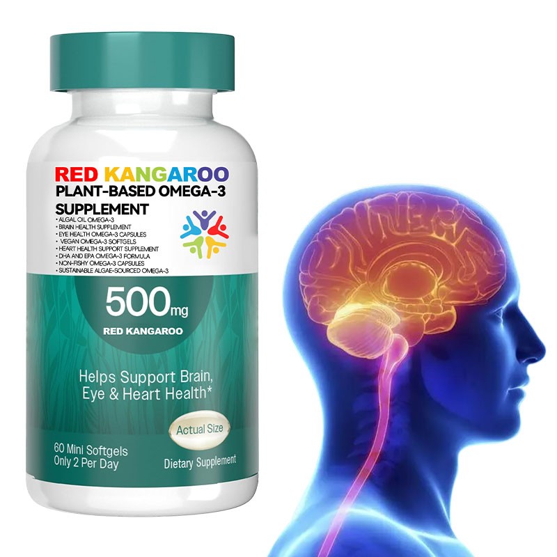 Omega 3 Softgels Supplier - Algal Oil Brain Eye Heart Support